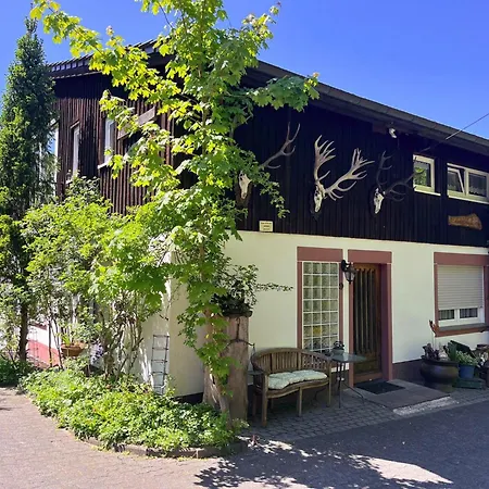 Am Damwildgehege I דירה