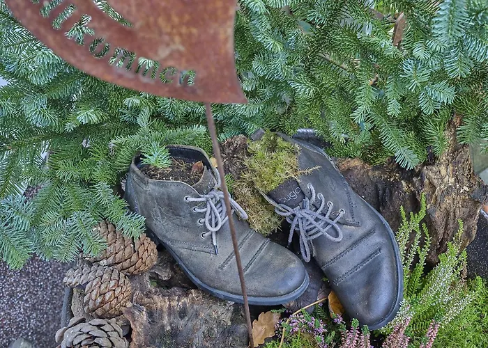 Daire Am Damwildgehege I Lennestadt