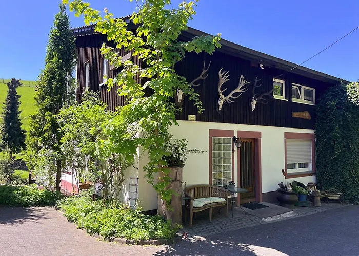 Am Damwildgehege I Lennestadt