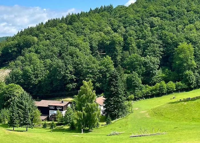 Daire Am Damwildgehege I