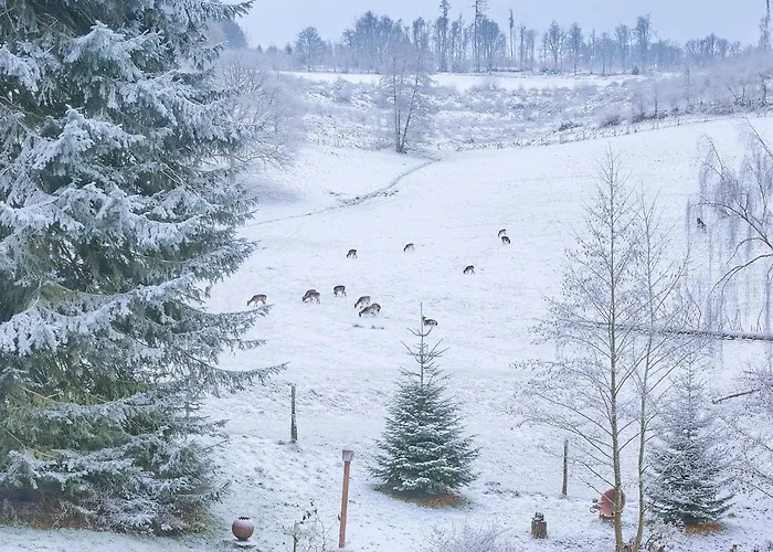 Am Damwildgehege I Lennestadt
